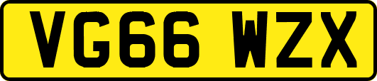 VG66WZX