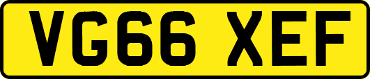 VG66XEF