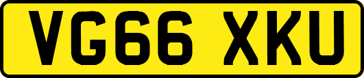 VG66XKU