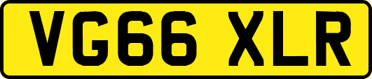 VG66XLR