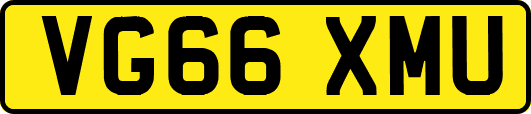 VG66XMU