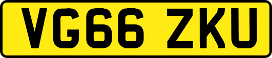 VG66ZKU