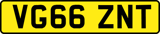 VG66ZNT