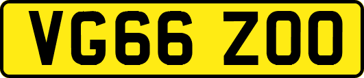 VG66ZOO