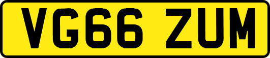VG66ZUM