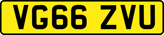 VG66ZVU