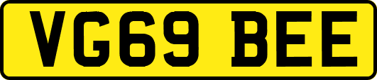 VG69BEE