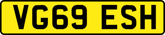 VG69ESH