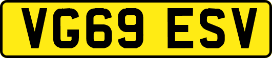 VG69ESV