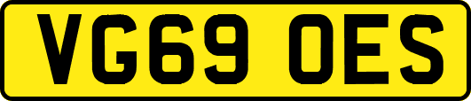 VG69OES