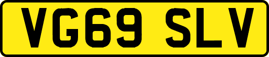 VG69SLV