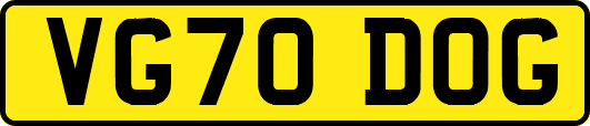 VG70DOG