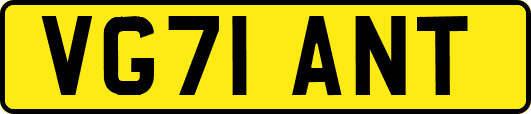 VG71ANT