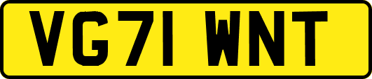 VG71WNT