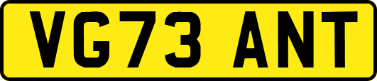 VG73ANT