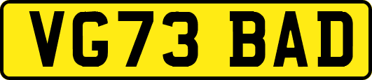 VG73BAD