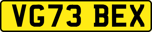 VG73BEX