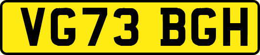 VG73BGH