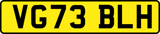 VG73BLH