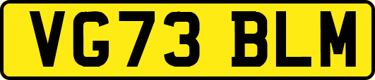 VG73BLM