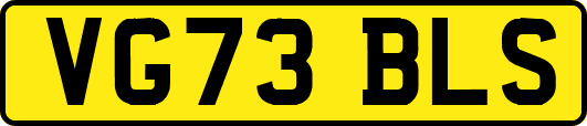VG73BLS