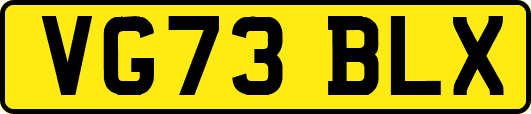 VG73BLX