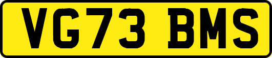 VG73BMS