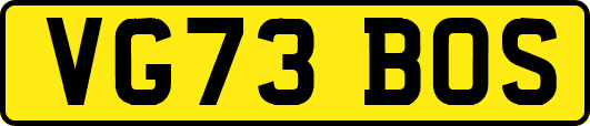 VG73BOS