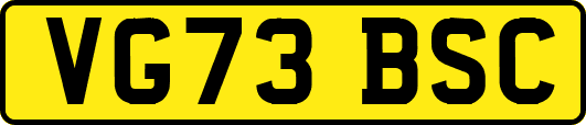 VG73BSC