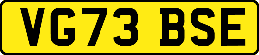 VG73BSE