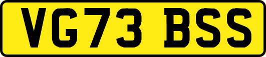 VG73BSS
