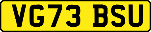 VG73BSU