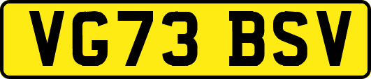 VG73BSV