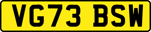 VG73BSW