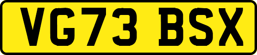 VG73BSX