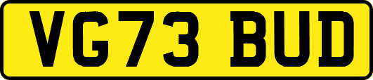 VG73BUD