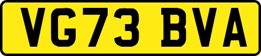 VG73BVA