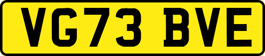 VG73BVE