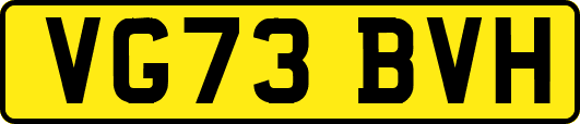 VG73BVH