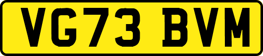 VG73BVM