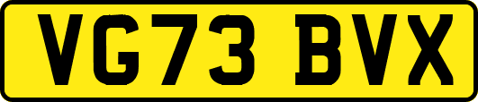VG73BVX