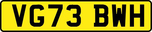 VG73BWH