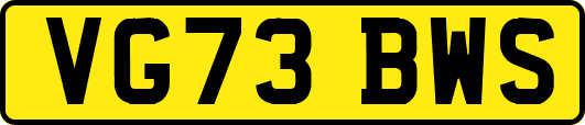 VG73BWS