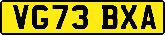 VG73BXA