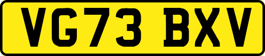 VG73BXV