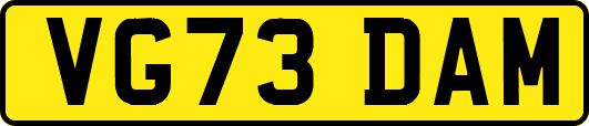 VG73DAM