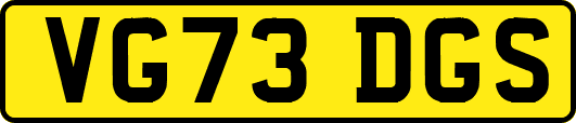 VG73DGS