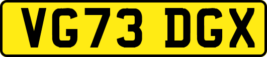 VG73DGX