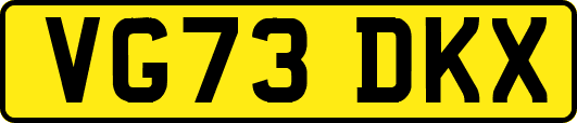 VG73DKX