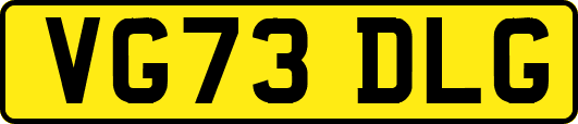 VG73DLG